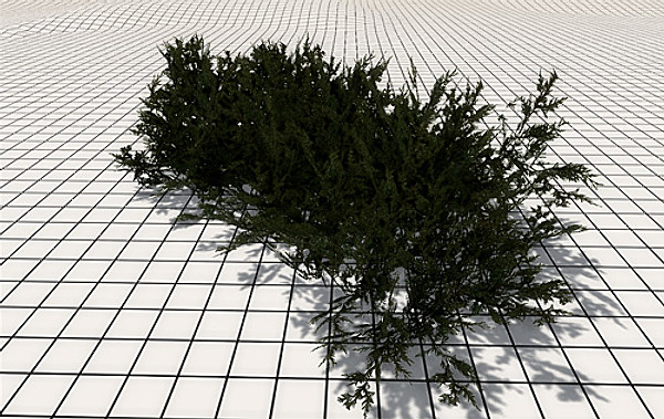 afghan vegetation 24 tree 3d max - 24 Afghan Vegetation Models by pure3dviz